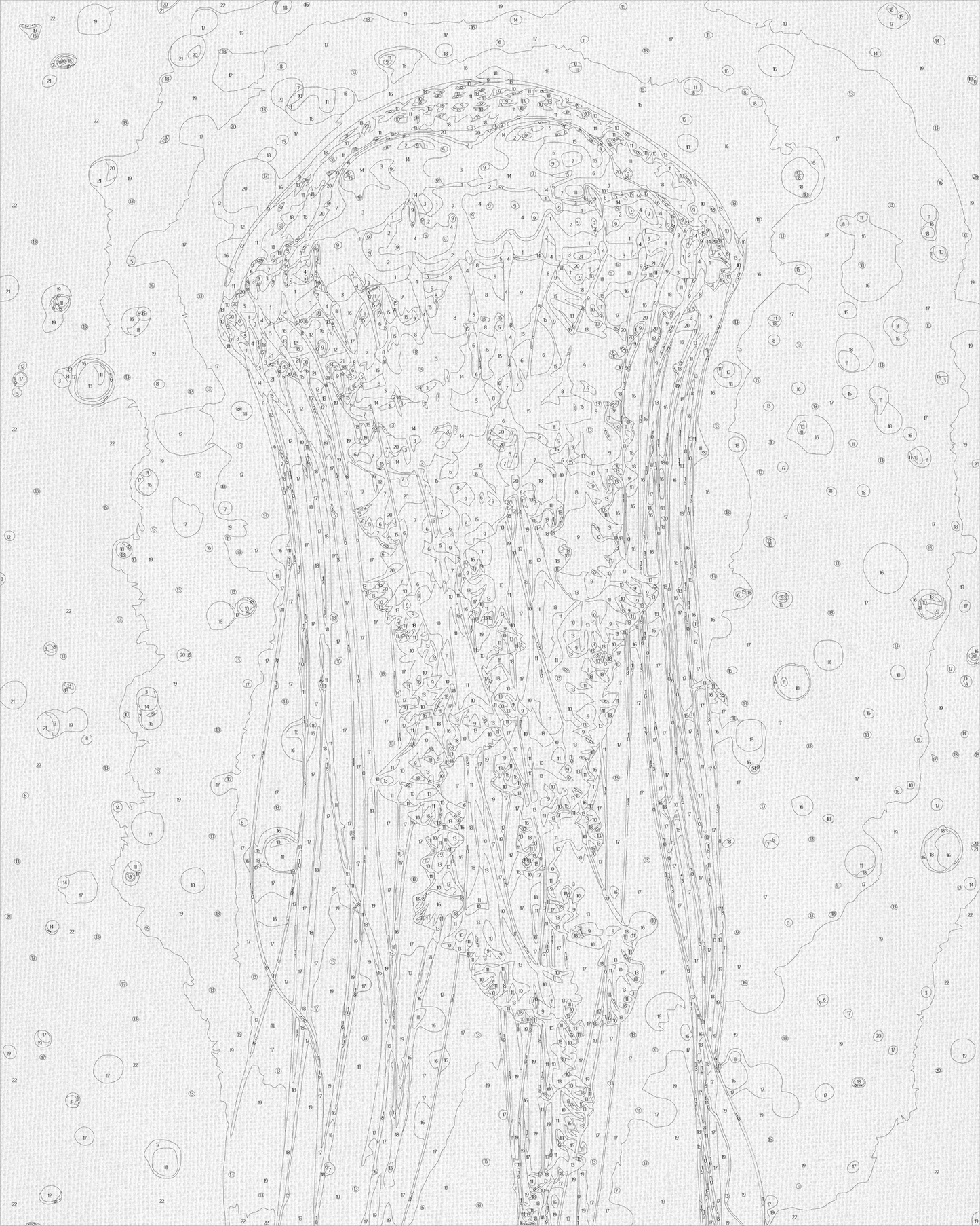 Maľovanie podľa čísel – Medúza 40*50 cm LW 32022