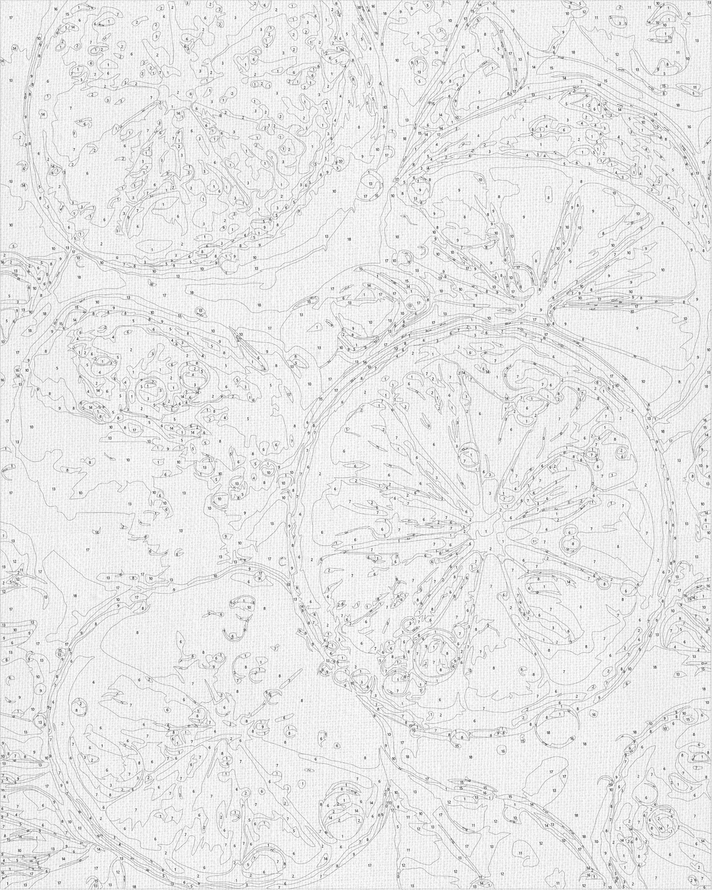 Maľovanie podľa čísel – Zátišie. Šťavnatý limetkový plod 40*50 cm LW 3440