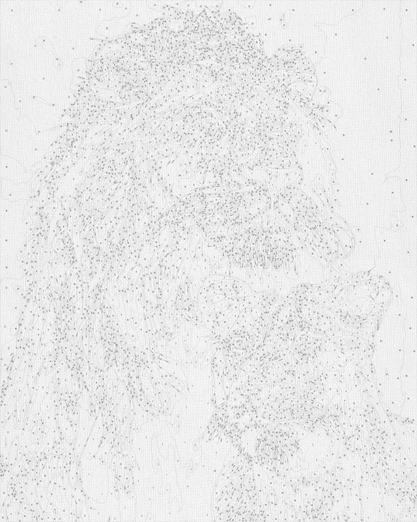 Maľovanie podľa čísel Zvieratá. Lev a levica. S metalickými farbami 40*50 cm LW 0320