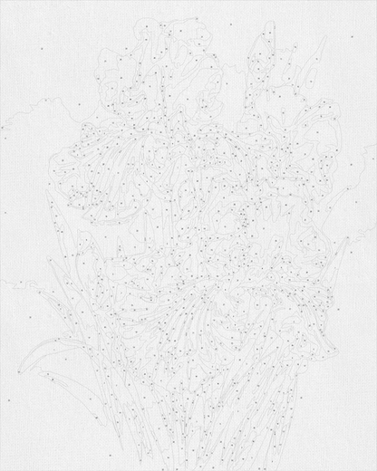 Maľovanie podľa čísel – Kytica kosatcov. Kvety 40*50 cm LW 31600