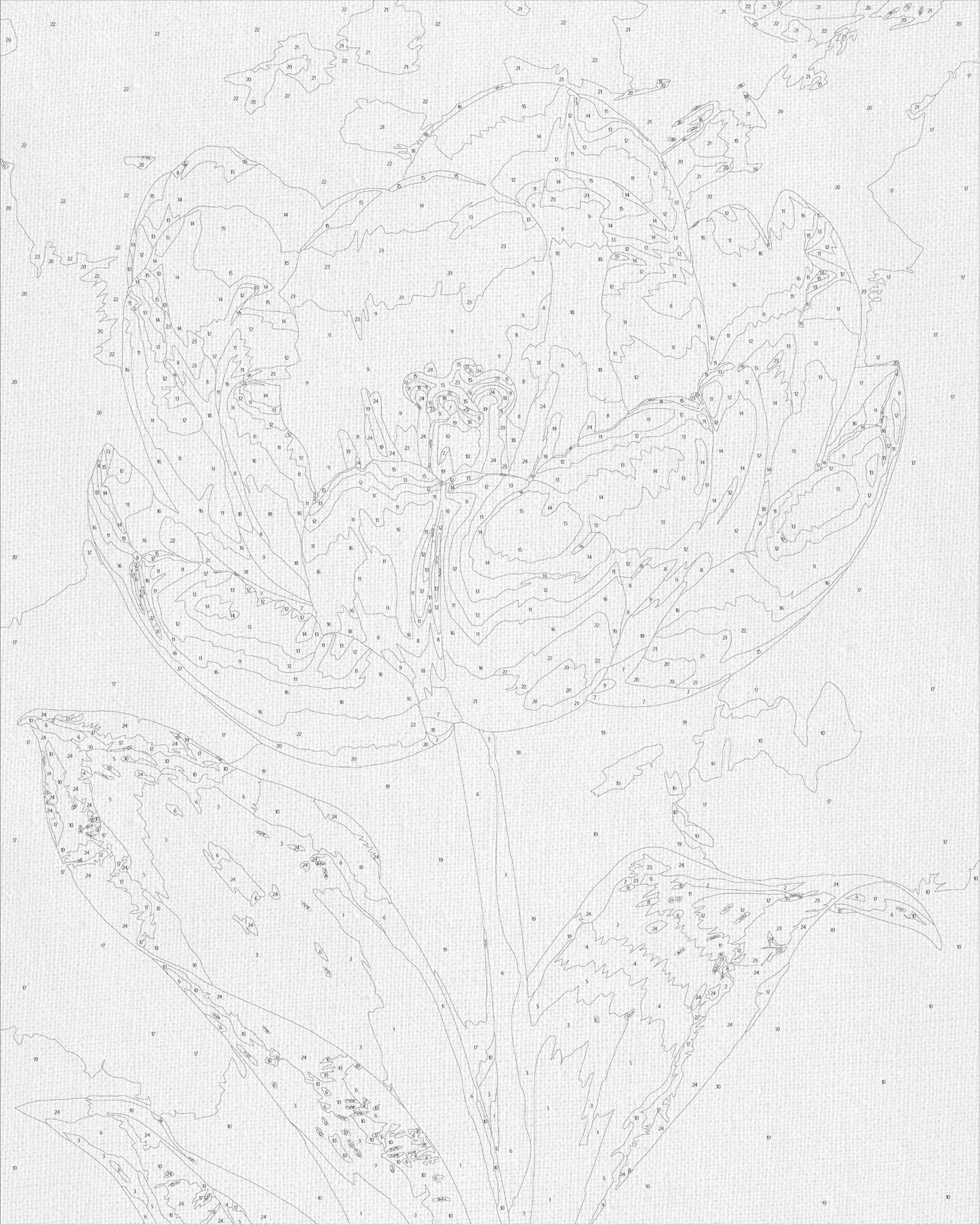 Maľovanie podľa čísel Bielá pivónia s metalickými farbami 40*50 cm LW 3305