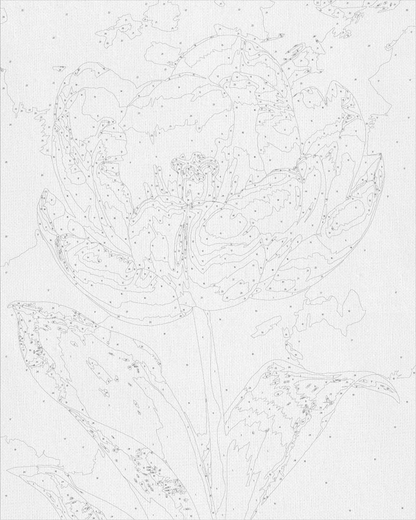 Maľovanie podľa čísel Bielá pivónia s metalickými farbami 40*50 cm LW 3305